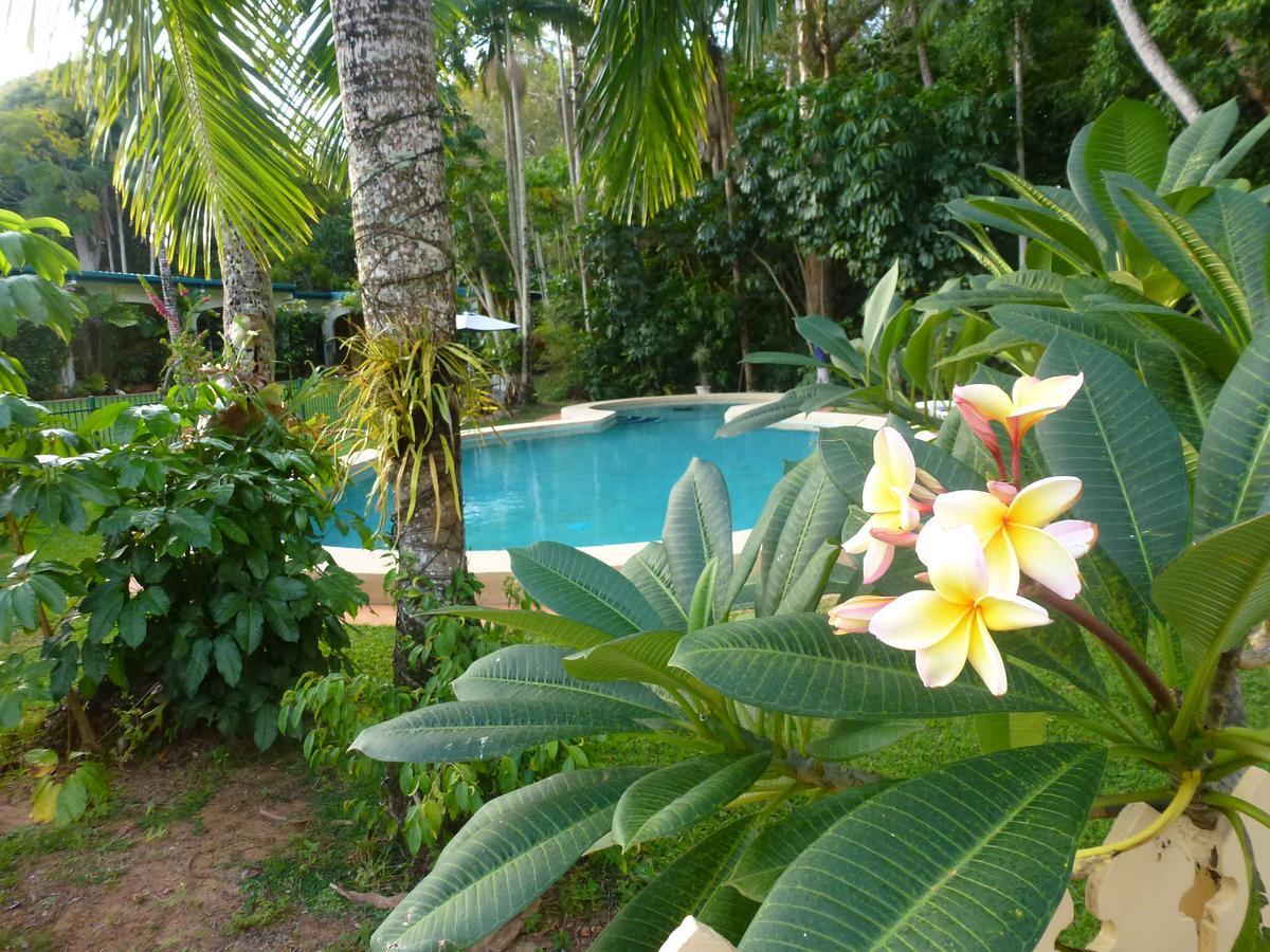 Villa Marine Holiday Apartments Cairns Йоркейс Кноб Номер фото